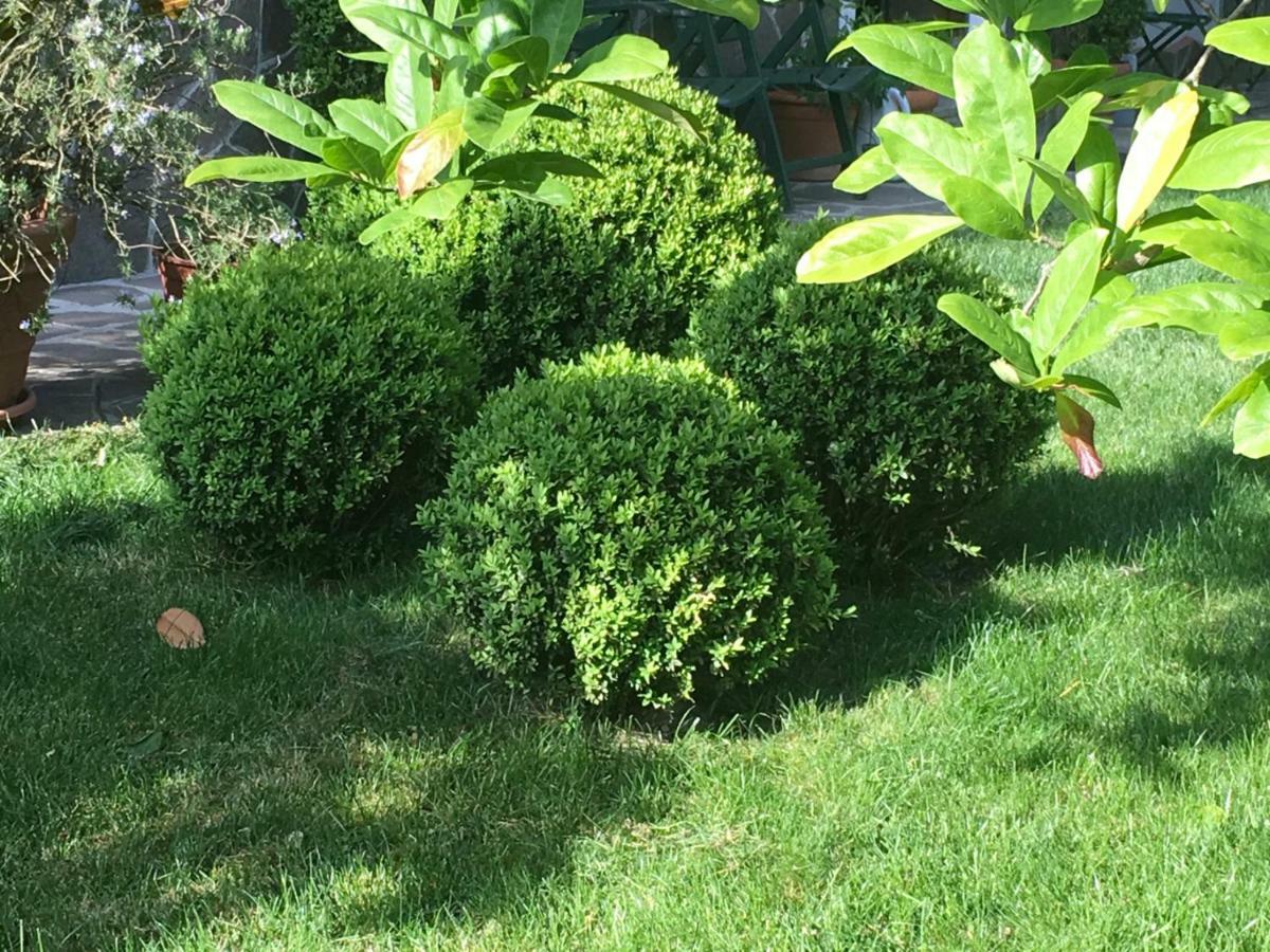 サン・ドナート・ミラネーゼHouse&Gardenアパートメント エクステリア 写真
